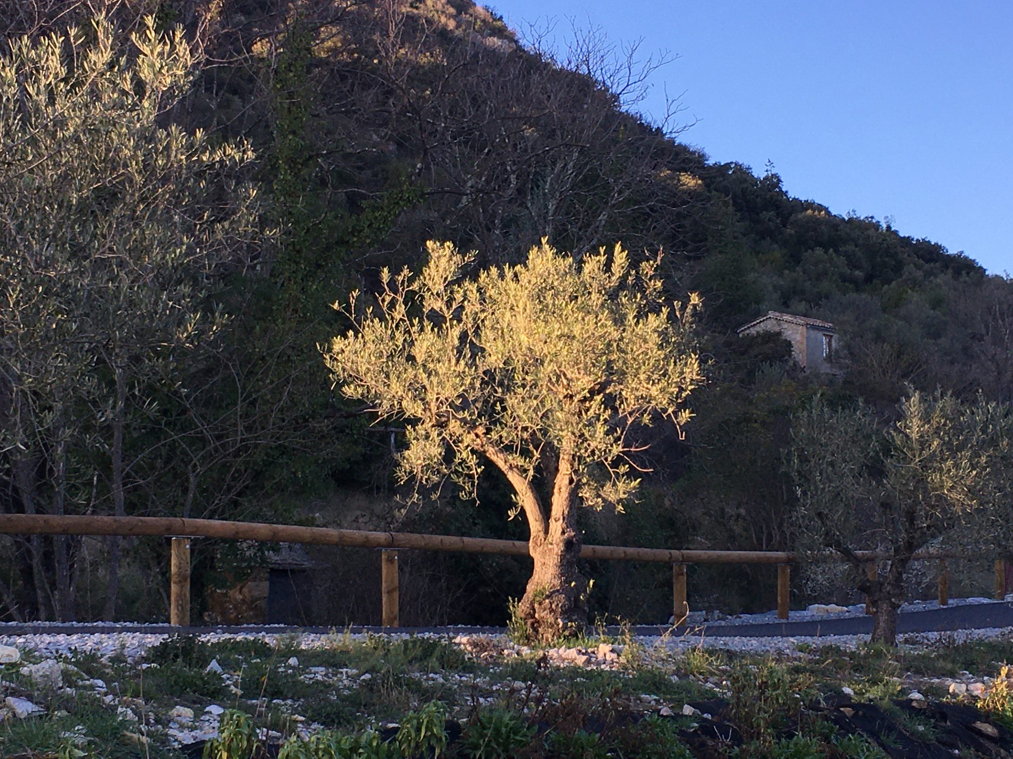 sainthippolytedufort Voie verte